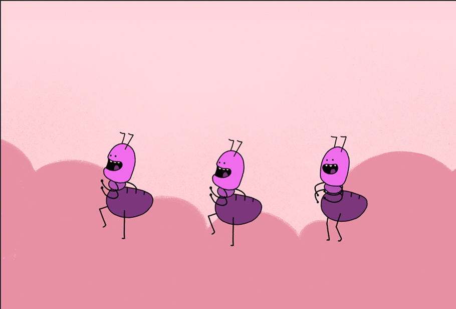 Dance break insects